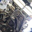 양산 반달곰 카센타 이미지