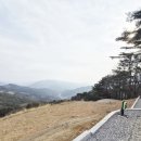 선수촌마켓 | 단오 디저트마켓 스콘 맛집 구움과자 캠핑간식 추천
