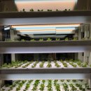 엠케이(MK) 이미지