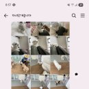 다녀오개습니다 이미지