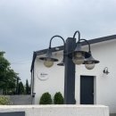 올리비아스테이 이미지