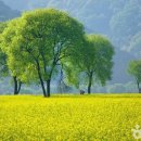 삼동 산1-4 이미지