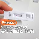 감도보건진료소 | 은평구보건소 일요일 신속항원검사,PCR검사, 비대면진료 / 은평 주말 코로나 검사하는 곳은 2곳
