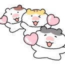 화순짬뽕
