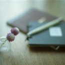 행복한 순간 이미지