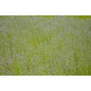 시선끌다 이미지