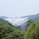 박지산(두타산) 이미지