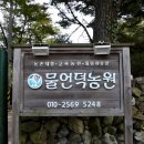소리개농장 네이버블로그