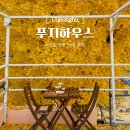 은행나무빌라 | 의정부 은행나무 뷰 당고 맛집 카페 푸지하우스