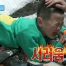 왕거미 이미지