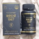 맥주효모 '채우다모1987' 후기