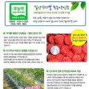 밀양꾸지뽕 영농조합법인 이미지