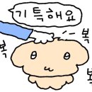 썬헬스클럽 이미지