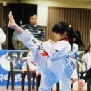 탑 태권도 전문도장 이미지