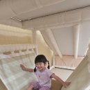 경기도 수원시 권선구 세권로165번길 30-2 (권선동) | 수원 키즈카페 대관 권선동 실내놀이터 도토리숲 권선점에서 아이와 날아다니기