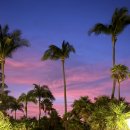 한메드존 이미지