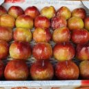 은솔농장 이미지