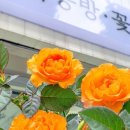 달막공방달막꽃집