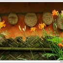 동인당약품 이미지