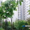 신백현초등학교 내 네이버블로그