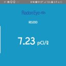 네오그린 이미지