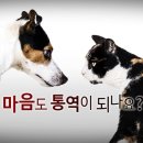 같이 이미지