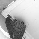 기억과 기억 이미지