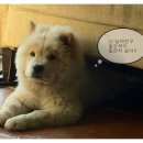 수성랜드 이미지