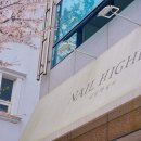 네일하일리 네이버블로그