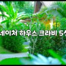 더 네이처 하우스 크라비 5성급