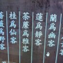 (茶:)다미 이미지
