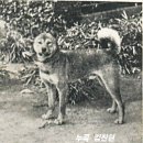 1937년 보고서의 '단모'의 의미 이미지