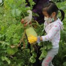 여울농장 이미지