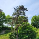 안성농장 이미지