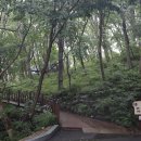 거제자연휴양림 이미지