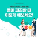 화천가시오갈피농장 이미지
