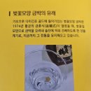 품격 있는 술 선물/ 가모츠루 골드 다이긴조 기획세트 – 카카오톡 선물 후기