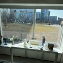 커로슬안경 | 배부른 3월