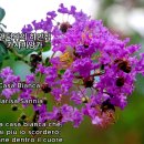 언덕위의 하얀집 이미지