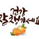 새로나레져