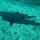 천사민박 이미지