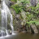 엑스퍼트 행정사사무소 이미지