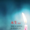 영생 Daum카페