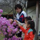 갈원초교 병설유치원 이미지