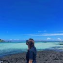 열두달애월 이미지