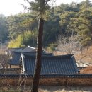 팔학산 유아숲체험원 이미지