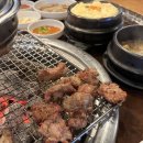 네오삼인