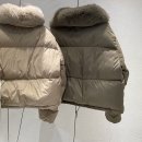 더폭스디자인 이미지