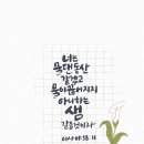 이사야 레브