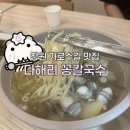 쉬리영양손칼국수 | 새로 오픈한 창원 가로수길 칼국수 맛집 추천｜다해리 꽁칼국수 솔직 후기